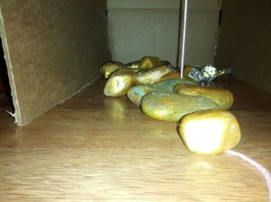 All that gold - notice the trap door string.