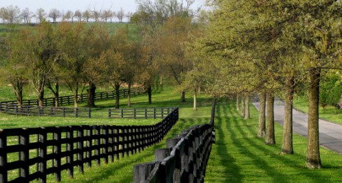 Photo found at www.selectregistry.com