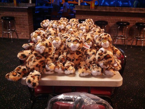 Cheetahs - Reed's favorite animal.  Given as part of the Reed Stevens Memorial Legacy Program at Avera McKennon hospital to any surviving sibling of a child who passes away at the same hospital Reed did.