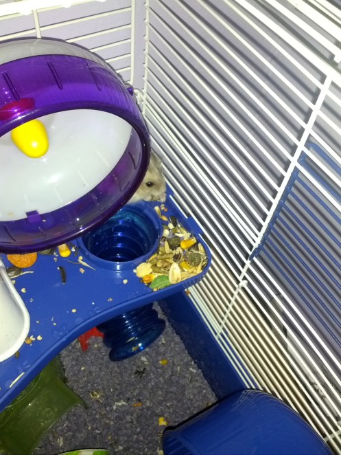 Really being camera shy!