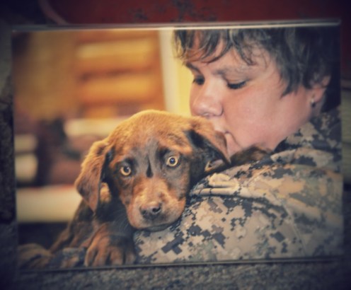 Just one of the puppies Auntie Stacy arranged to be given to returning soldiers. She was a dynamo in life and will be missed!